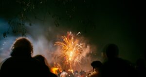A crowd seen from behind in silhouette, watching a firework display light up the night sky, no faces visible