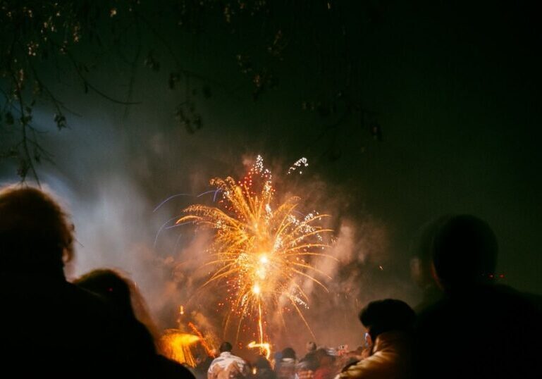 A crowd seen from behind in silhouette, watching a firework display light up the night sky, no faces visible
